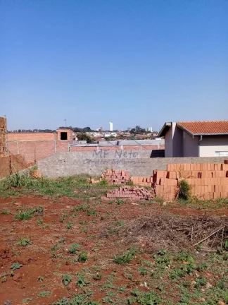 Imagem Terreno Padrão
