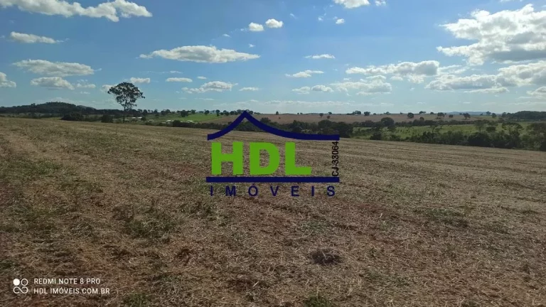 Imagem 28 alqs com 24,5 alqs em Soja.