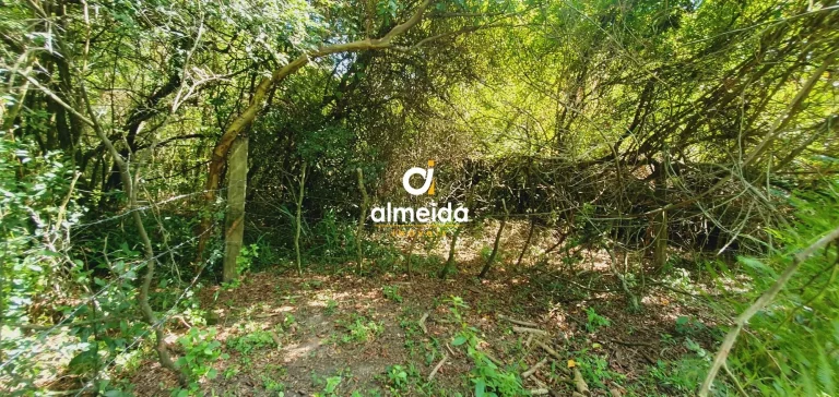 Imagem BELA AREA A VENDA