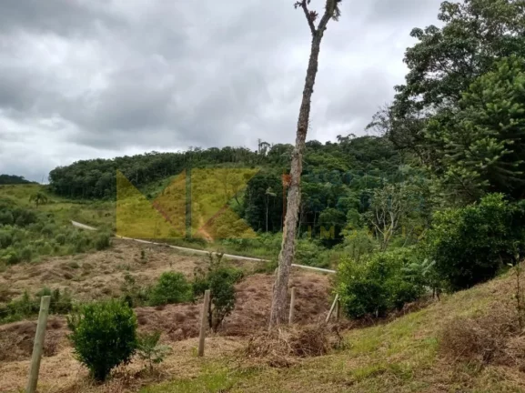 Imagem Fazenda à Venda, 90 m² em Barra Avencal - Rio Dos Cedros
