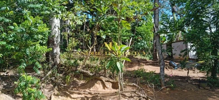 Imagem Casa Com Terreno Amplo à Venda em Simões Filho no Bairro Góes Calmon