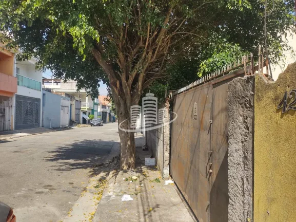 Imagem Terreno Padrão