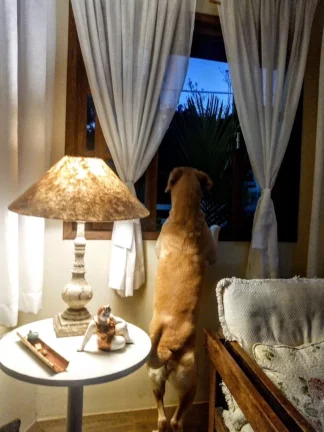 Imagem CASA RESIDENCIAL em SILVA JARDIM - RJ, ALDEIA VELHA