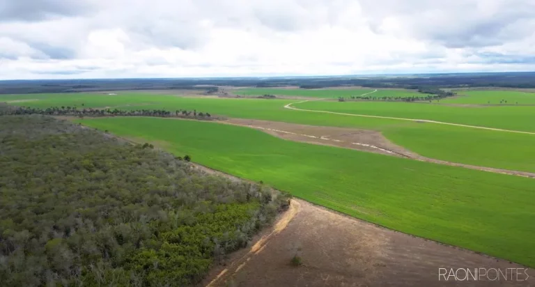 Imagem Fazenda à Venda, 5.800 m² em Zona Rural