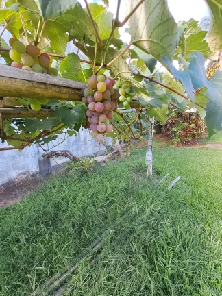 Imagem Chácara Mobiliada com Charme e Conforto em Boituva-SP, Bairro Jeriva!