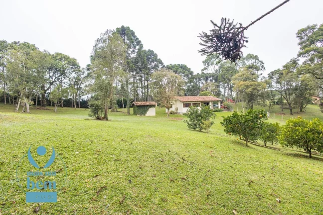Imagem Belíssima Chácara com 3 dormitórios à venda, 6000 m² por R$ 1.400.000 - Salgadinho - Campo Largo/PR