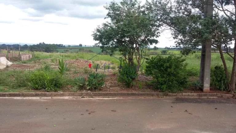 Imagem Terreno Padrão