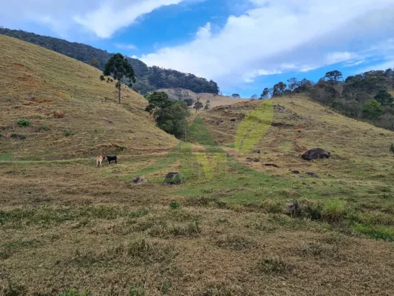 Imagem Lindo sítio à Venda em Piracaia