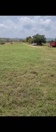 Imagem Excelente Fazenda em Belem Paraíba com 270 hectares