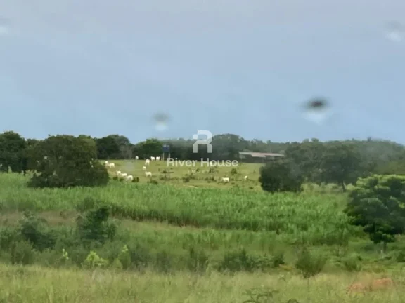 Imagem Rural / Fazenda na cidade de Poconé