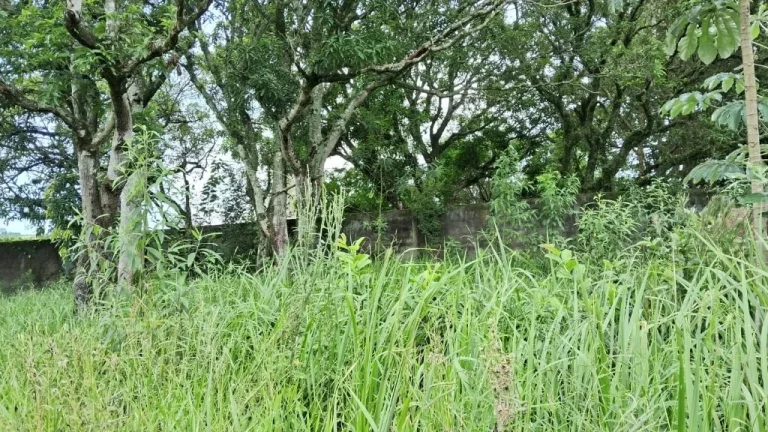 Imagem Terreno à venda, 1100 m² por R$ 170.000,00 - Chácaras Santa Maria - Jacareí/SP