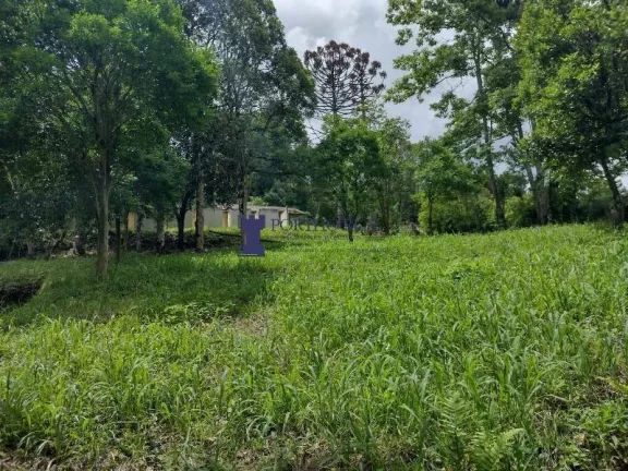 Imagem ÁREA RURAL COM 6.957,50M² EM BALSA NOVA