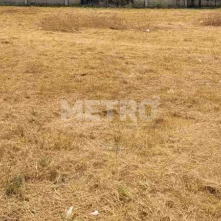 Dois terrenos, lotes, 480m à venda no centro de Petrolina