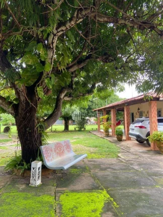 Imagem Chácara com terreno 25,600,m²160x160m e casa com 4 dormitórios à venda, por R$ 3.700.000 - Todos os Santos - Teresina/PI