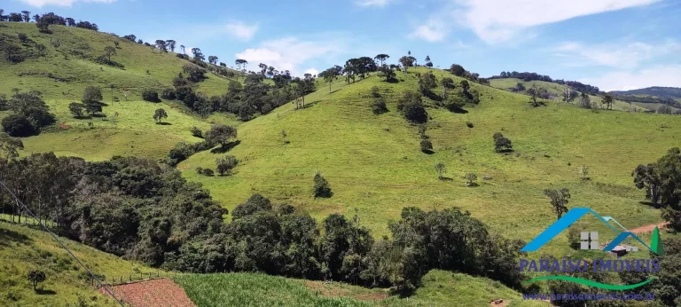 Imagem Excepcional terreno rural na Serra da Mantiqueira - Paraisópolis MG