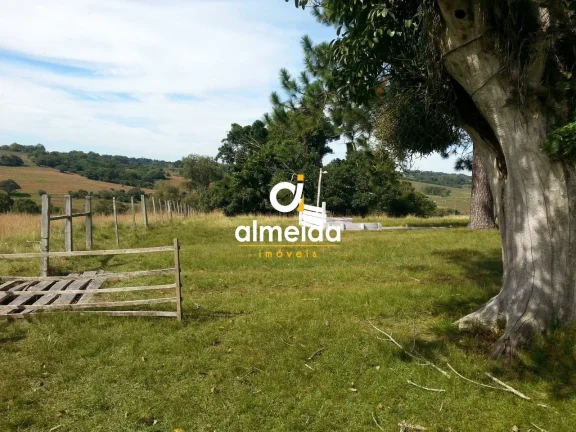 Imagem Chácara 2 dormitórios à venda Zona rural Santa Maria/RS