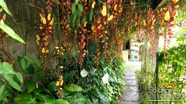 Imagem Amplo Apartamento - Permite Financiamento - Piscina e Paisagismo no Condomínio.