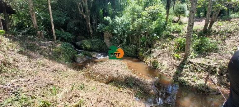 Imagem Sítio para Venda em São Roque, Ponte Lavrada, 4 dormitórios, 3 suítes, 4 banheiros