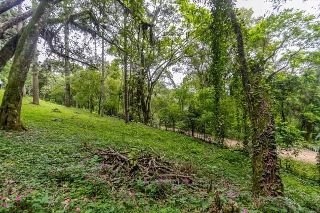 Imagem Terreno 745m2 rua sem saída Santa Felicidade