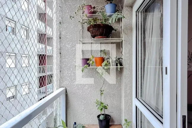 Imagem Apartamento à Venda - Vila Mariana, 3 Quartos, 86 m2