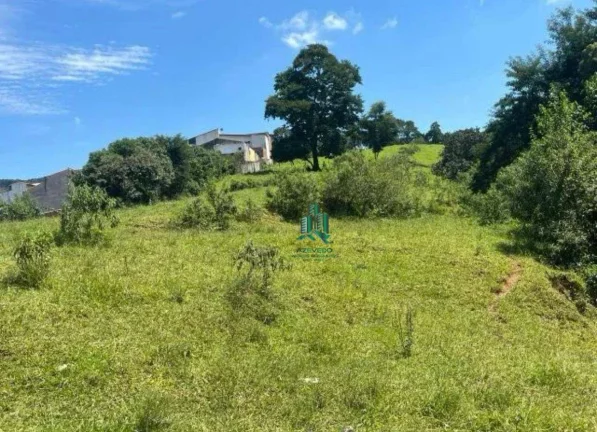 Imagem Terreno à venda, 12000 m² por R$ 12.720.000,00 - Parque Edu Chaves - São Paulo/SP