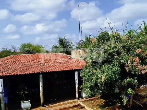 Imagem Fazenda produtiva de mangas à venda com 12,5 ha, PETROLINA - PE