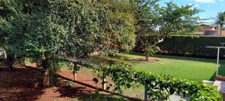 Imagem Chácara - Jardinopolis - Jardinópolis