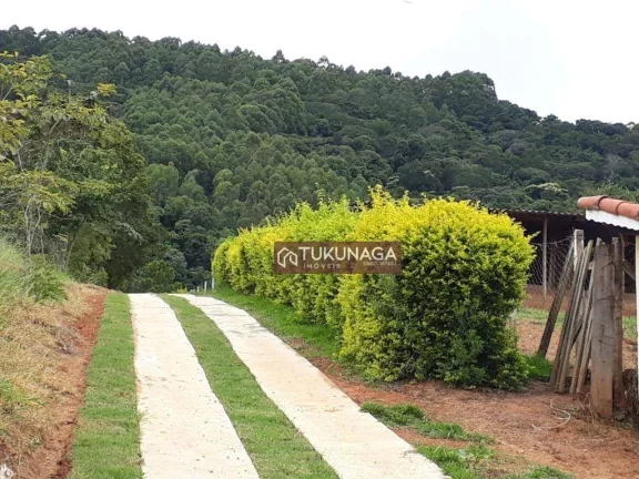 Imagem Sítio à venda, 82450 m² por R$ 1.100.000,00 - Pitangueiras - Pedra Bela/SP