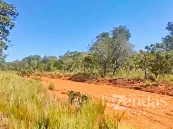 Imagem Fazenda à Venda, 17.000 m² em Zona Rural - Alto Parnaíba