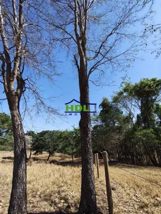 Imagem Chácara 2 Alqs de Cultura Forte e nascente 85 kms de Goiânia