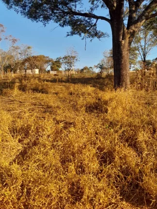 Imagem LOTE PLANO E BARATO , EM MATEUS LEME!
