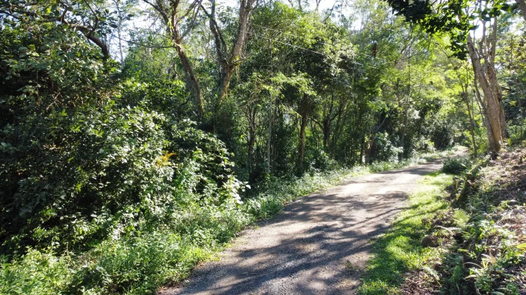 Imagem Terreno à venda no Siriú, Garopaba (SC), com 700m², leve declive e vista para o mar. A apenas 2km da praia, com água, luz e possibilidade de regulariz