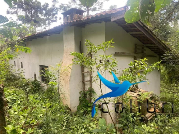 Imagem Chácara com 4 Quartos à Venda, 72.600 m² em Pinheiro Ocado - Agudos Do Sul