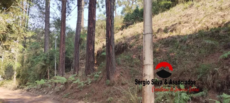 Imagem Terreno a Venda na Região do Alto da Boa Vista em Campos do Jordão -SP.