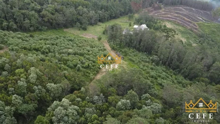 Imagem Chácara - Sítio com 4 Dormitorio(s) localizado(a) no bairro Linha Tapera em Gramado / RIO GRANDE DO SUL Ref.:1416
