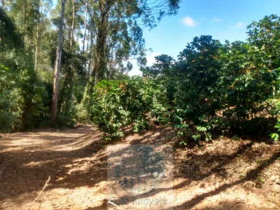 Imagem Sítio com 22.000 pés de café em Jacuí - Minas Gerais - 4 alqueires.