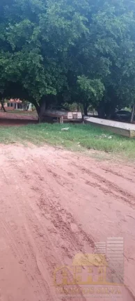 Imagem Rancho para Venda em Três Lagoas / MS
