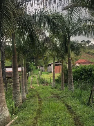Imagem SÍTIO A VENDA NO COSTAS DA MANTIQUEIRA
