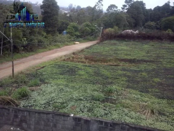 Imagem TERRENO 4.086m², RESIDENCIAL, LIMPO NA GRAMA, KM 39.