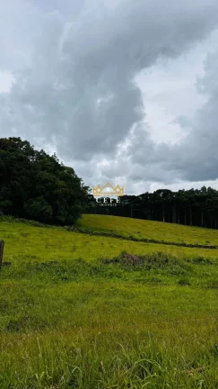 Imagem Chácara - Sítio com 3 Dormitorio(s) localizado(a) no bairro Zona Rural em Santa Maria do Herval / RIO GRANDE DO SUL Ref.:1545