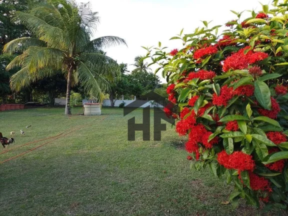 Imagem Lotes de 800m² à venda em Tracunhaém-PE