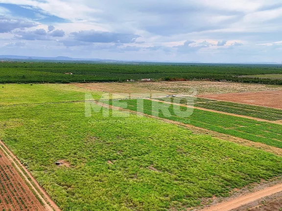 Imagem Fazenda com 116ha, Casa, Galpão, 25ha plantados e mais 32 prontos para plantar
