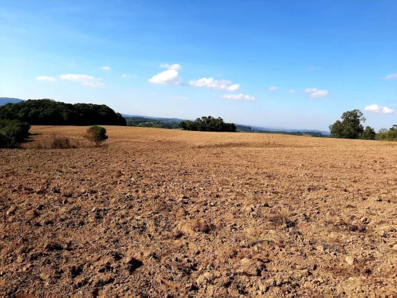 Imagem OPORTUNIDADE ÚNICA!!! 12 Hectares, Linha Doutor Flores, Sertão Santana
