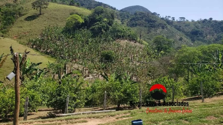 Imagem Sítio Bela Vista Bairro dos Lúcios Região de Luminosa em Brazópolis - MG