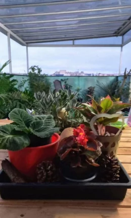 Imagem Apartamento com 3 dormitórios à venda, 105 m² por R$ 297.000,00 - Cidade Parque Alvorada - Guarulhos/SP