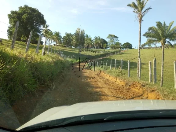 Imagem Fazenda para Venda em Valença, Guaibim, 9 dormitórios, 3 banheiros
