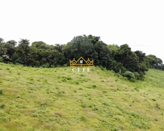 Imagem Chácara - Sítio com 3 Dormitorio(s) localizado(a) no bairro Zona Rural em Santa Maria do Herval / RIO GRANDE DO SUL Ref.:1546
