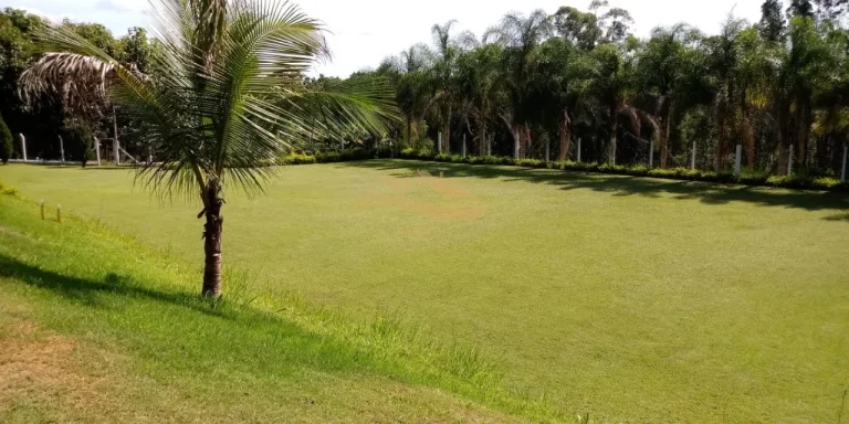 Imagem SITIO RURAL em RAFARD - SP, RURAL