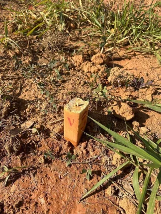 Imagem Terreno à Venda 300m² Alto Padrão - Cond. Terras Alpha Votorantim