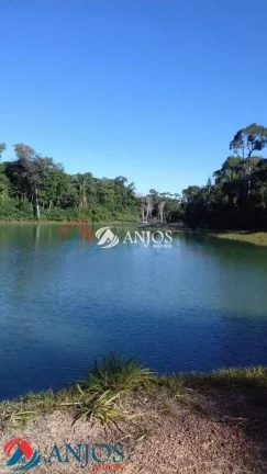 Imagem CHÁCARA QUITADA NO CANTINHO DA FLORESTA I, ÁREA RURAL, SINOP MT